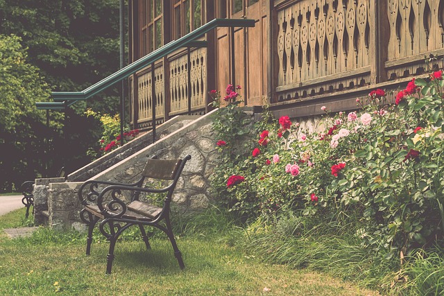 为了充分发 为了充分发