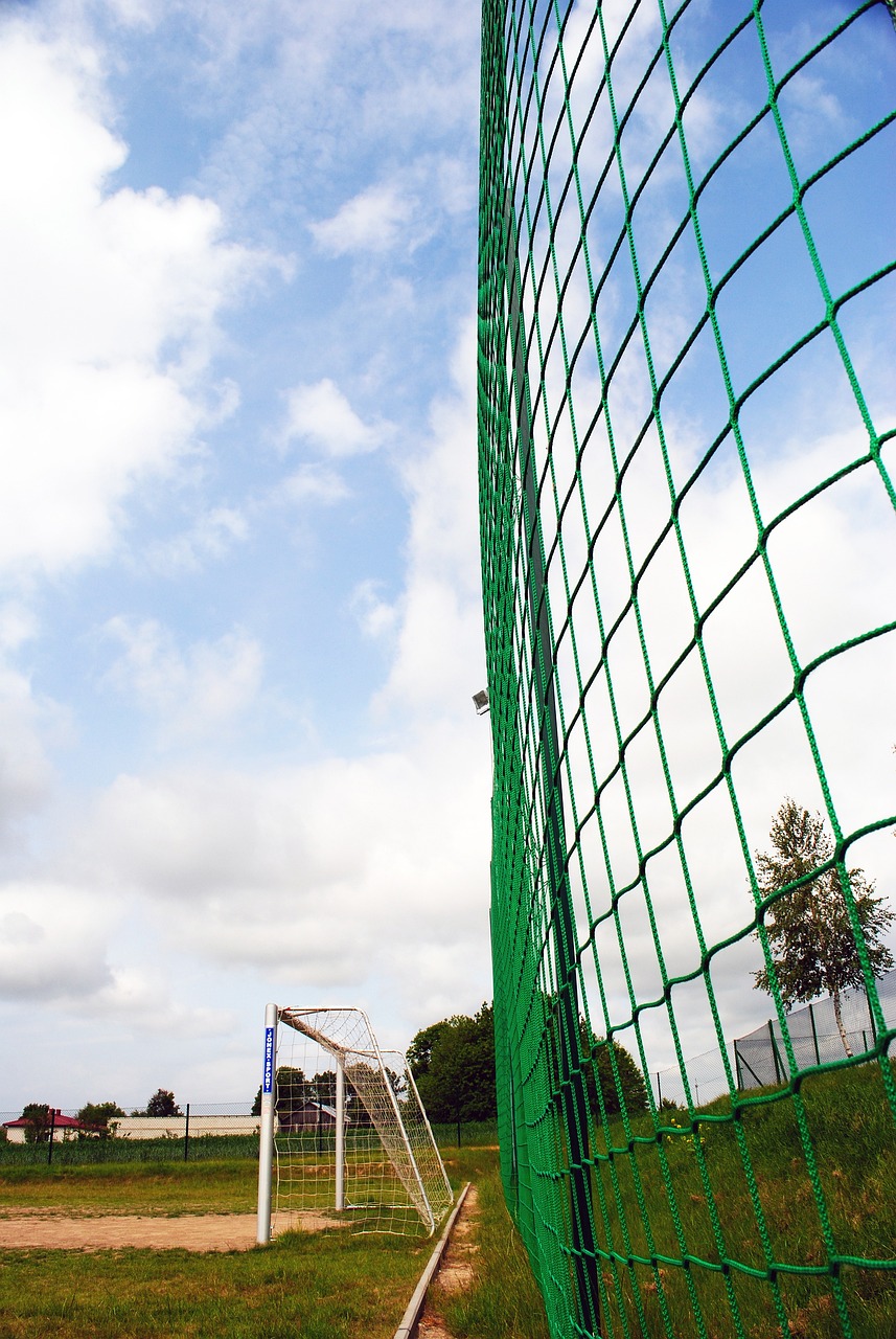 更准确的判 更准确的判