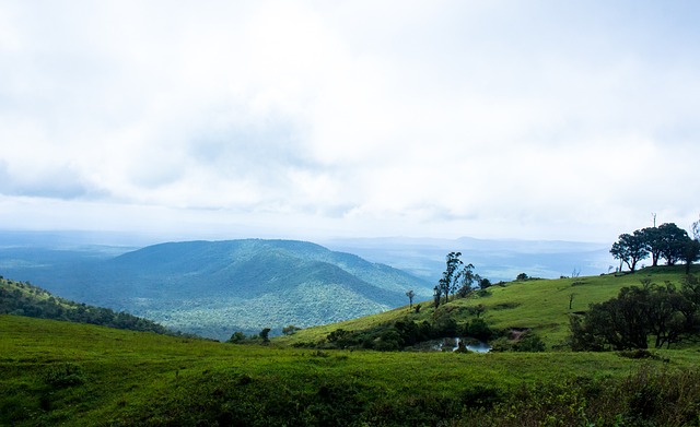能根据场上 能根据场上