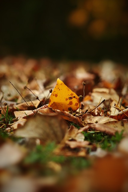 传球和高效 传球和高效
