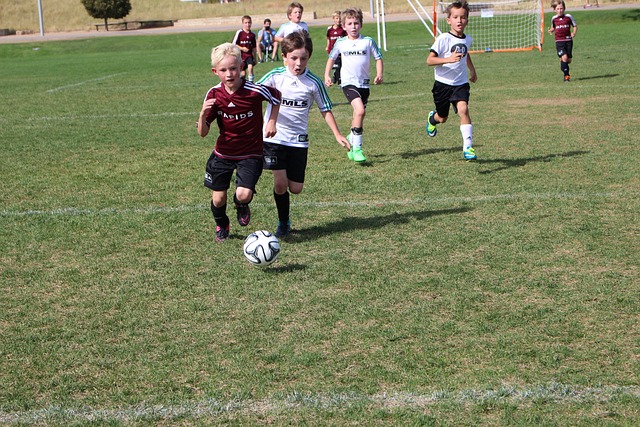 都能够在战 都能够在战