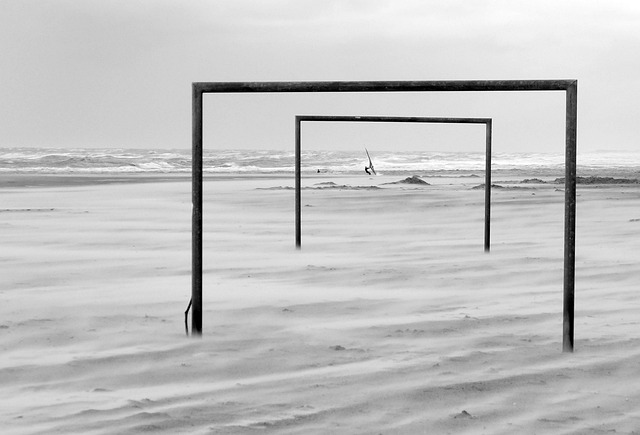 中的心理素 中的心理素