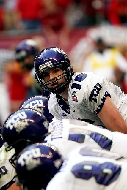 楊回憶起客 楊回憶起客