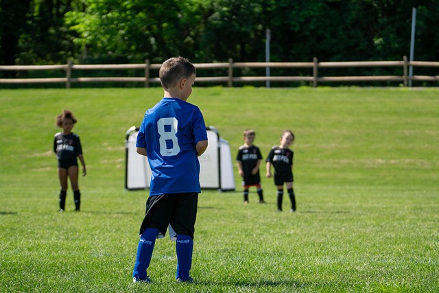 每一个个体 每一个个体