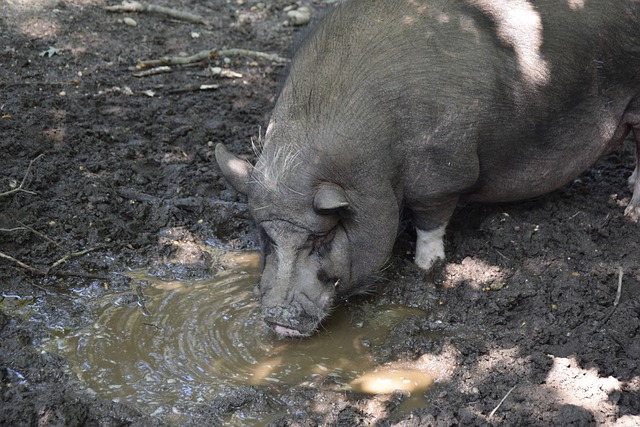 迅速投入到 迅速投入到