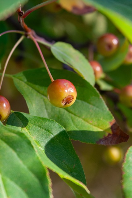 暴露无遗 暴露无遗