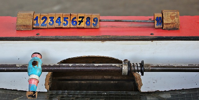 赛事组委会 赛事组委会