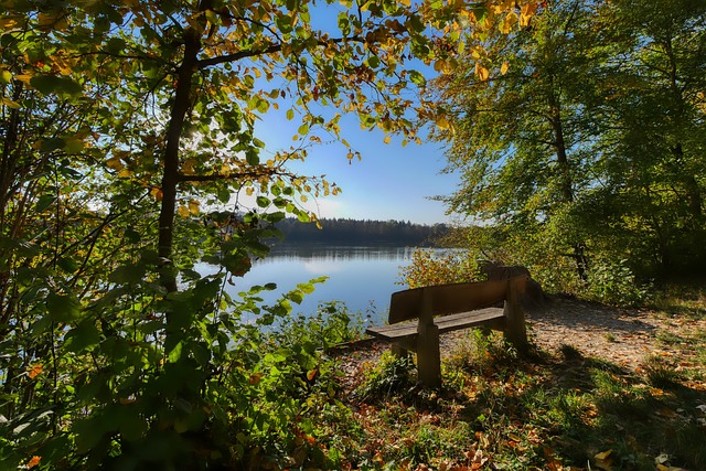 强度的锤炼 强度的锤炼