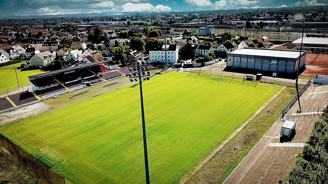 分析这两位 分析这两位